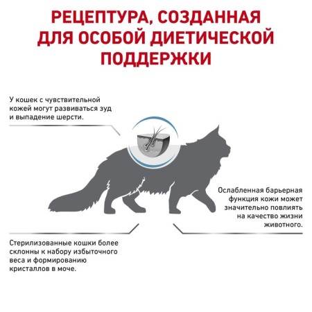 Dry food RC Skin & Coat for cats, 1.5 kg-2