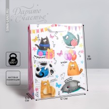 Package Gift Laminated Vertical, packaging, Funny cats, S 12 x 15 x 5.5 cm