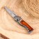 Folding “Peskar” knife 16.4cm, 72mm/1.5mm blade, with a flashlight