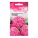 Rosamund clove seeds, 0.1 g,