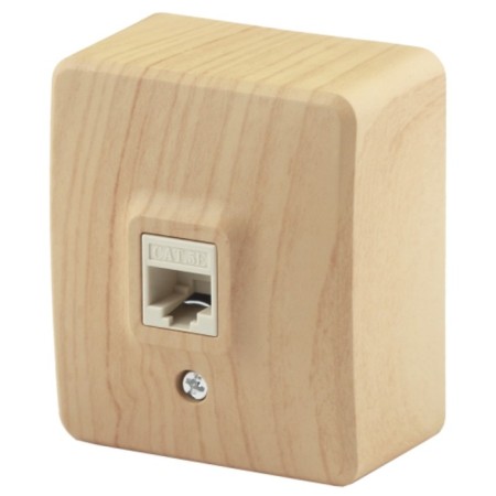 Information socket RJ45, OU, IP20, Era Expert, Pine