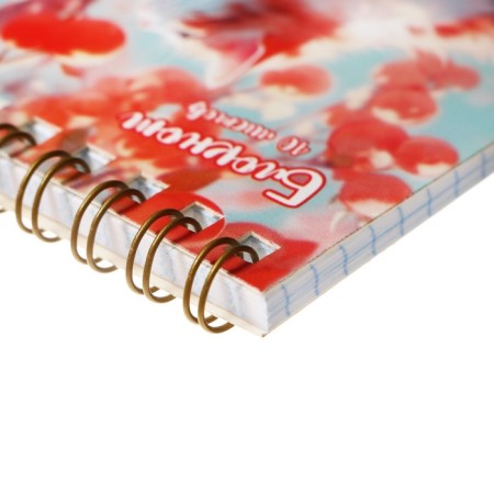 Notepad A7, 40 sheets in a cage on the crest "Sonya", cover coated cardboard, offset block, mix-1