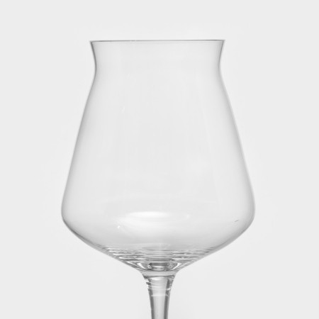 Magistro beer "TOP", 400 ml, 9 × 20 cm, glass, transparent-3