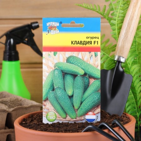 Cucumber seeds "Claudia" F1, 0.2 g.-2