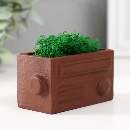 Kashpo concrete mini "Retro radio" with moss light brown 8x4x4.5cm (moss green stabil.)-1