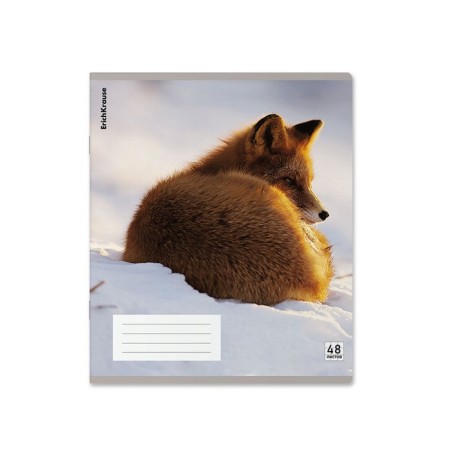 Notebook of 48 sheets in the Erichkrause cage, with a plastic cover, 5V, mix-5
