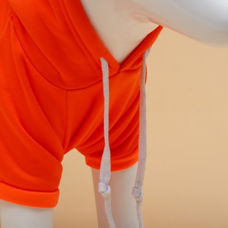 Sweep "Favorite Carrot", size XL (DS 40, OG 56 cm)-3