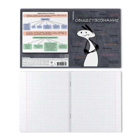 Subject notebook, 48 sheets, cage, social studies Erichkrause "Chubrik", plastic cover silk-screen cover, Blok OFSET 100%, information block-1