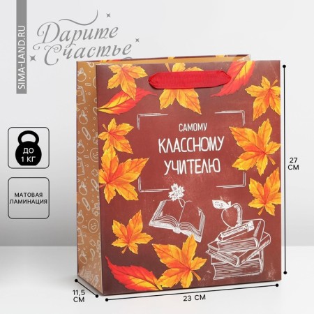 Package Gift Laminated Vertical, Packaging, “Teacher of the Year”, Ml 27 x 23 x 11.5 cm