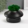 Concrete Kashpo "Mushroom" with moss 10x8x6.5 cm black (moss green stabilized)