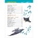 Sharks, whales and dolphins. Klyushnik L.V.
