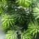Artificial plant for creativity "spruce balls" 1 bouquet = 6 branches green 14 cm