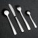 Set of dining room "Triumph", 24 items, thickness 2 mm, decorative box, silver color