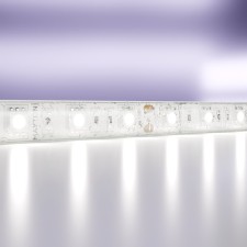 Maytoni LED tape, 12V, IP65, 5050, 14.4W/m, 6000K, 5 m, monochrome glow