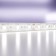 Maytoni LED tape, 12V, IP65, 5050, 14.4W/m, 6000K, 5 m, monochrome glow