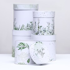 Set of round boxes 5 in 1 