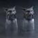 Set of stop-and-outs "lynx", d = 4.5cm h = 8.5cm, 2 pcs, 50 ml