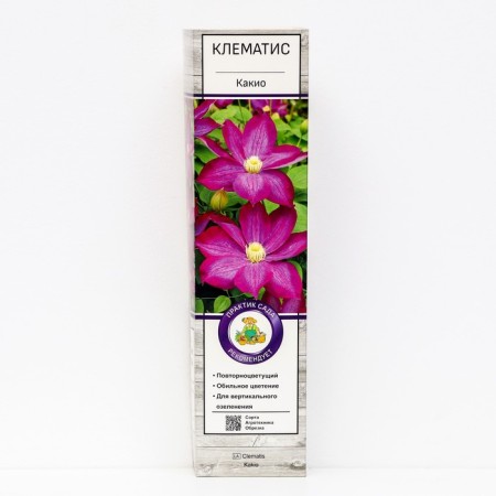 Clematis large -flowered "kakio", 1 pc, tube, spring 2025