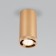 Lamp ceiling Elektrostandard, Lead LED 9 W, 60x60x120 mm, IP20, Color gold