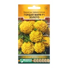 Flower seeds marigolds erect 