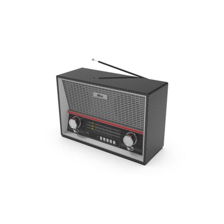 Radio receiver Ritmix RPR-102, 220 V, TT. IEC, USB, Jack 3.5, Cee, Microsd, Carbon color-1