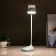 Sensory table lamp 16753/1 LED 2W 6000K USB AKB Blue 9x11x38 cm Risalux