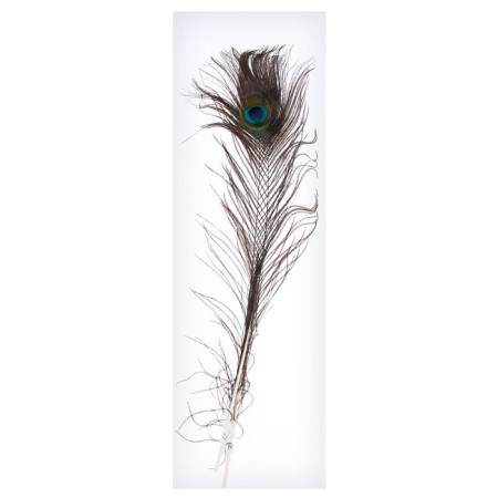 Feather of peacock for decor, set 2 pcs., Size 1 pc. - from 40 to 50 cm-7