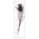 Feather of peacock for decor, set 2 pcs., Size 1 pc. - from 40 to 50 cm