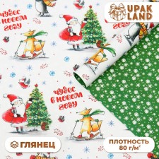 Paper packaging glossy bilateral 