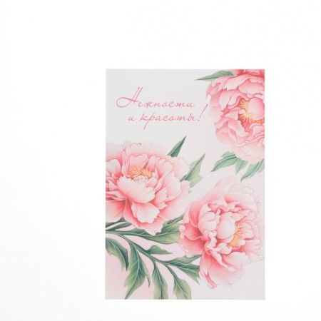 Set of mini-postcard "Flowers" 7.6 x 10.6 cm-13