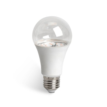 Feron, E27, 15 W, 175-265 V, red-blue lights lamp-3