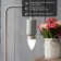 LED Candle Lamp (CN) 7.5W E27 713LM 2700K Warm light Rexant