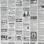 Newspaper