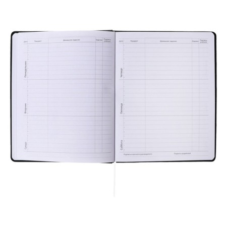 Universal diary for grade 1-11 Tokyo Girls, solid cover, artificial leather, foam rubber, liesse, 80 g/m2-7
