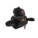 Flavor in the duct, bear pilot, 5 aromas