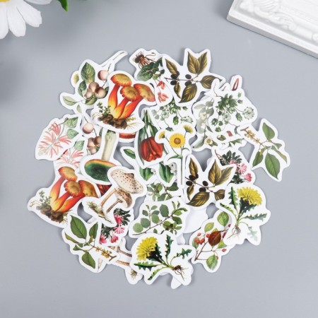 Stickers for creativity "Flowers and mushrooms" set 46 pcs 6x4x1.1 cm