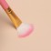 A set of makeup brushes, 12 objects, case, pink color