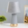 Helpers "Adrien" E14 40W gray-gold 23x23x40 cm Risalux