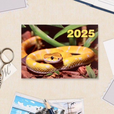 Pocket calendar "Symbol of the year - 4" Mix 2025, 7 x 10 cm-2