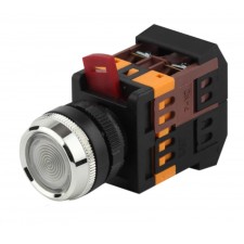 BBT30-BLFS-K01E ABLFS-22 ERA button D22mm Neon 240V 1Z+1R