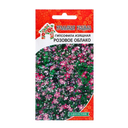 Gypsophila flowers elegant "pink cloud", 0, 1 g,