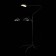 The floor lamp ST LUCE. SL305.405.03. SPRUZZO. 3x60 watts, E27, 155x155x205 cm, black color