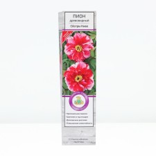 PION Tree Two -color 