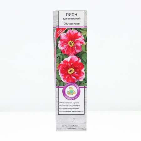 PION Tree Two -color "CIAO sisters", tube, 1 pc, spring 2025