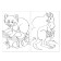 Coloring "Animals", 20 pages