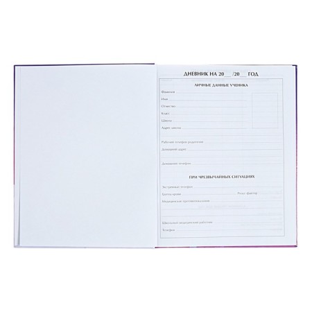Diary for grades 1-4 "Tender Dreams", solid cover, holography, 48 sheets-3
