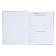 Diary for grades 1-4 "Tender Dreams", solid cover, holography, 48 sheets