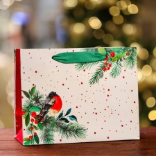 Gift package 