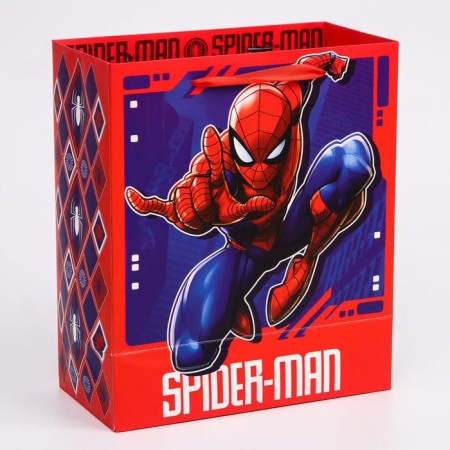 Gift package, 23x27x11.5 cm, packaging, spider-man-1
