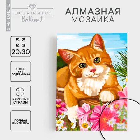 Diamond mosaic with full filling on the canvas "Cat", 20 x 30 cm